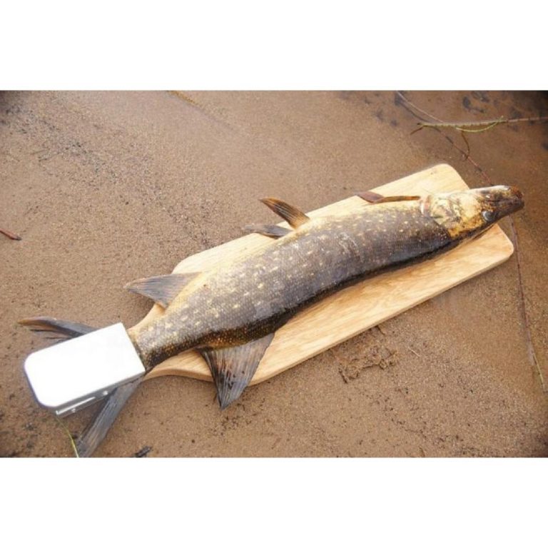 Набор для разделки рыбы/Доска разделочная-60 см/Рыбочистка